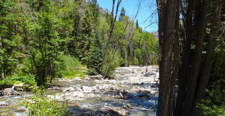 Uncompahgre River